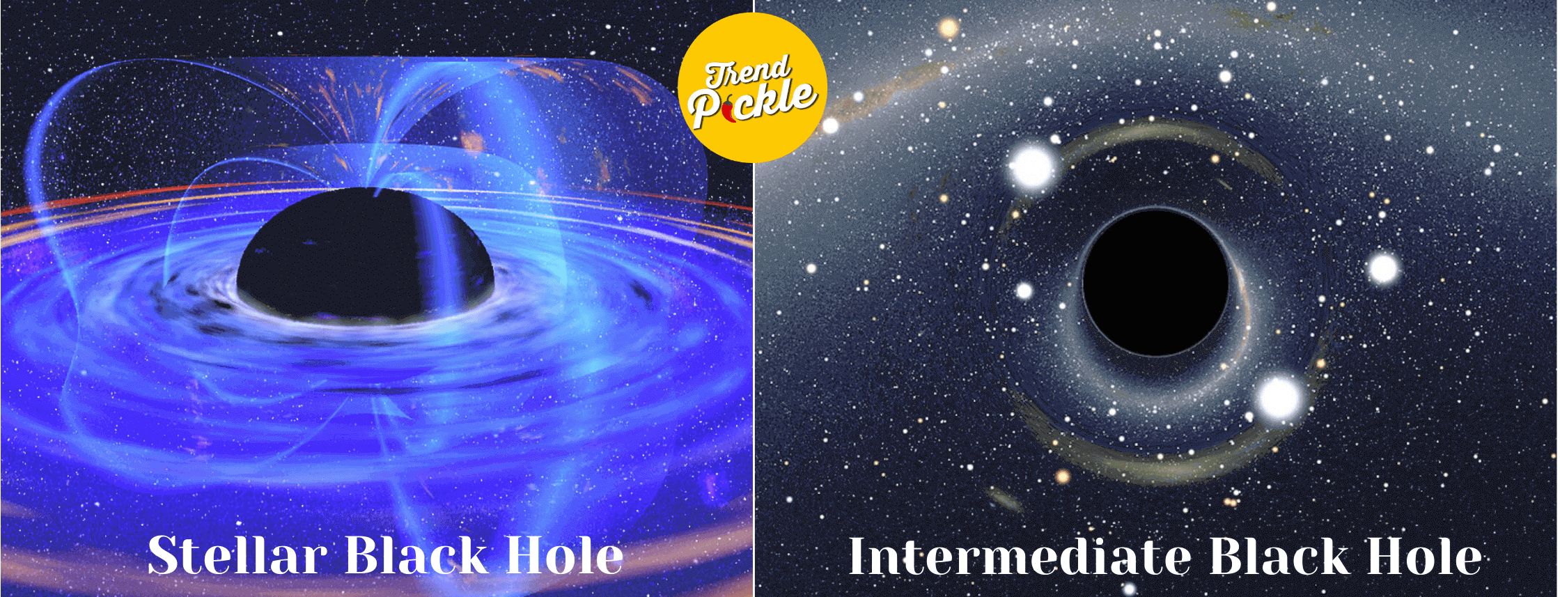 Black Holes