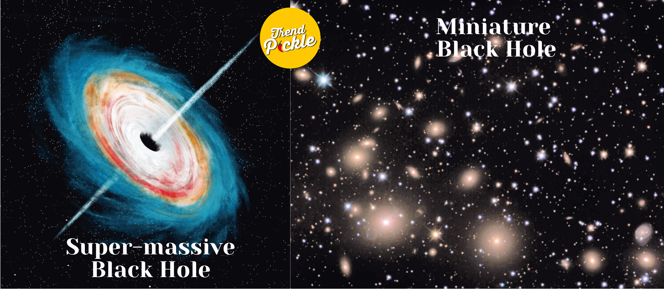 Black Holes