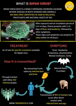 Nipah virus