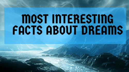 amazing facts about dreams