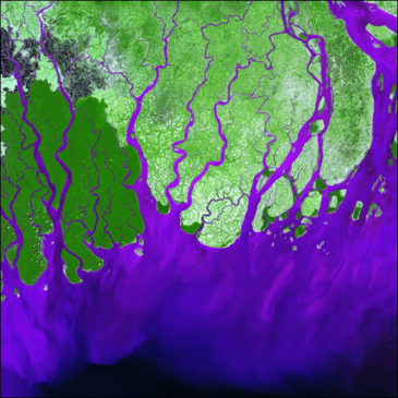 Ganges River Delta