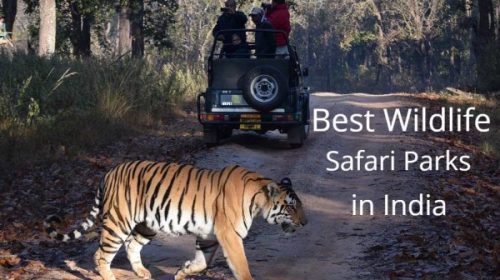 Best safari parks in India
