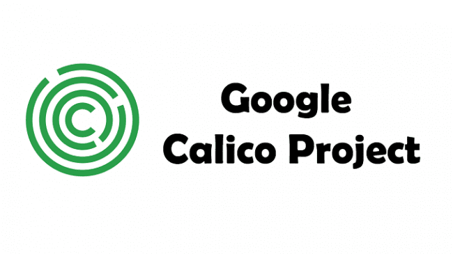  Google Calico Project