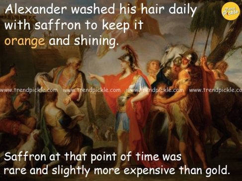 21 Interesting Facts About Alexander The Great you must know!