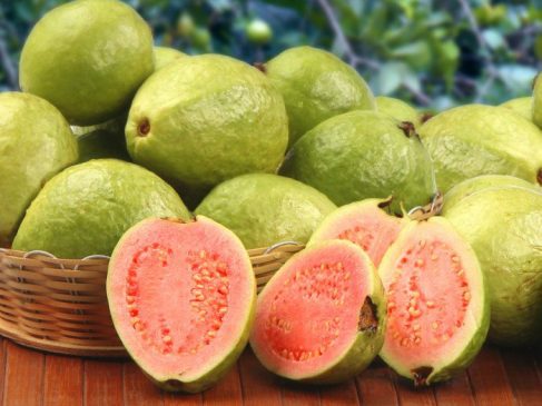 Guavas protein rich fruit