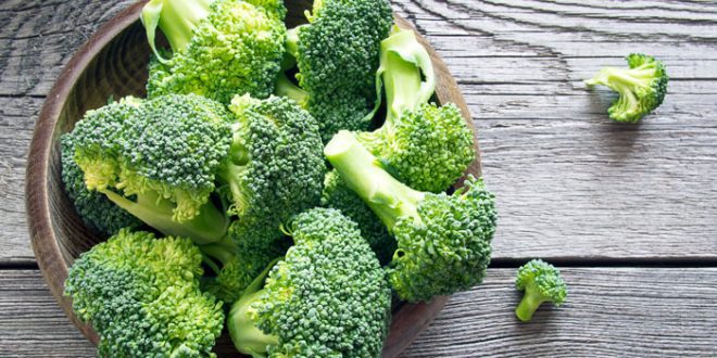 Broccoli best source of protein