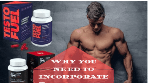 Why you need to incorporate Testofuel in your diet