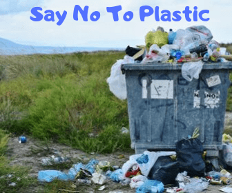 Top 10 Ways To Protect Environment 1