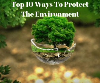 protect the environment