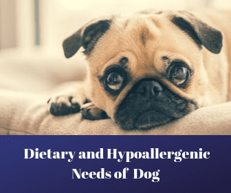 The Dietary and Hypoallergenic Needs of your Dog