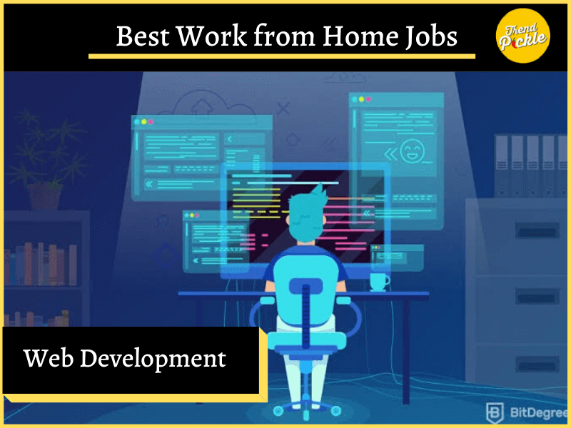 Best work from home jobs