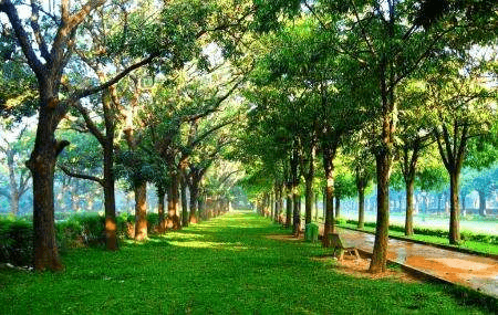 Cubbon park - best pre-wedding locations in Bangalore