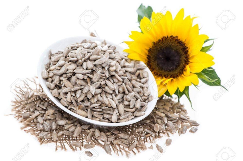 21554731 isolated sunflower seeds on white background