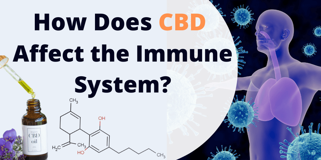 How Does CBD Affect the Immune System 1