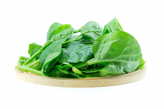 spinach vegetables isolated white background 91566 144