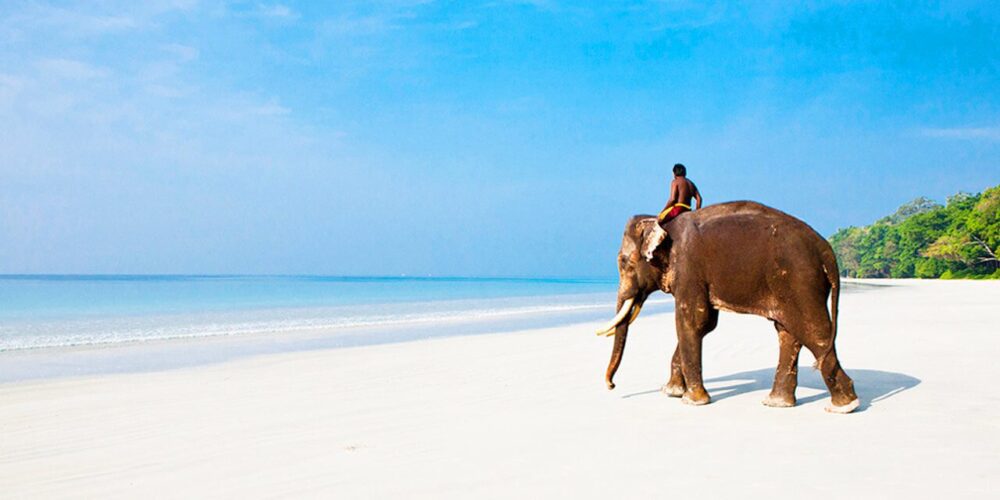 elephant beach andaman tourism entry fee timings holidays reviews header