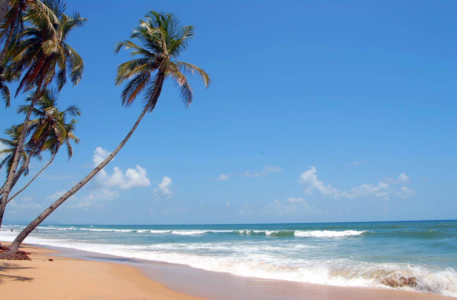 15 Most Beautiful Beaches In India Best Beaches In India Trendpickle 4892