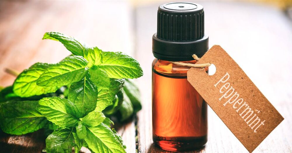 peppermint for skin and hair