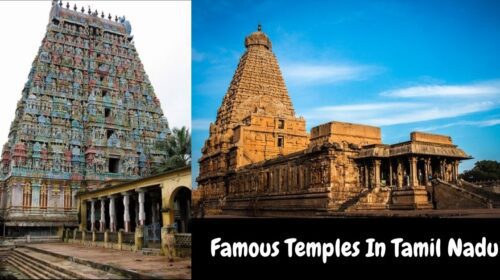 List of 7 Top Famous Temples in Tamil Nadu | TrendPickle