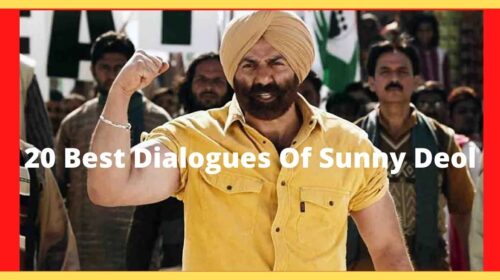 20 Best Dialogues Of Sunny Deol