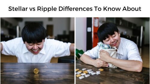 Stellar vs Ripple Differences To Know About