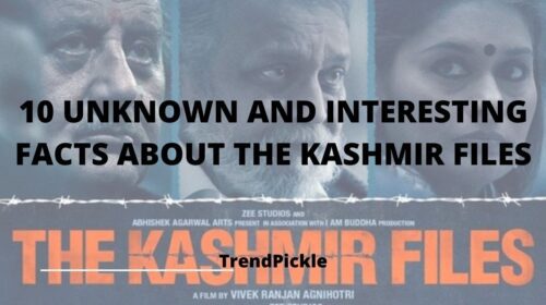 10 UNKNOWN AND INTERESTING FACTS ABOUT THE MOVIE KASHMIR FILES