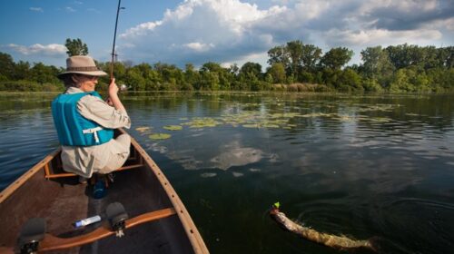 From Casual Angler to Pro: Finding the Perfect Reel for Your Fishing Style