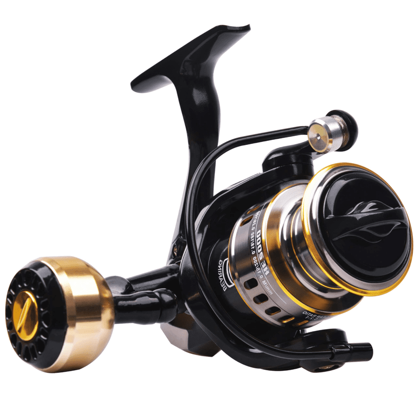 From Casual Angler to Pro: Finding the Perfect Fishing Reel...