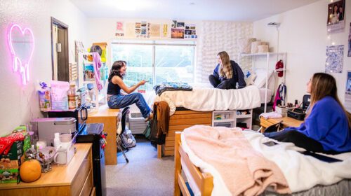 Finding the Perfect Student Housing